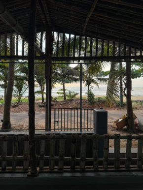 Beach Hive